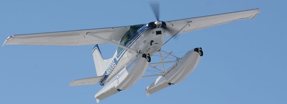 Cessna 185 Skywagon | Wipaire, Inc.