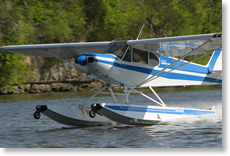 Piper Cub on Wipline 2100 Floats