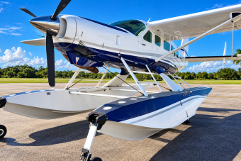 Sunlit Navy-and-White Floatplane