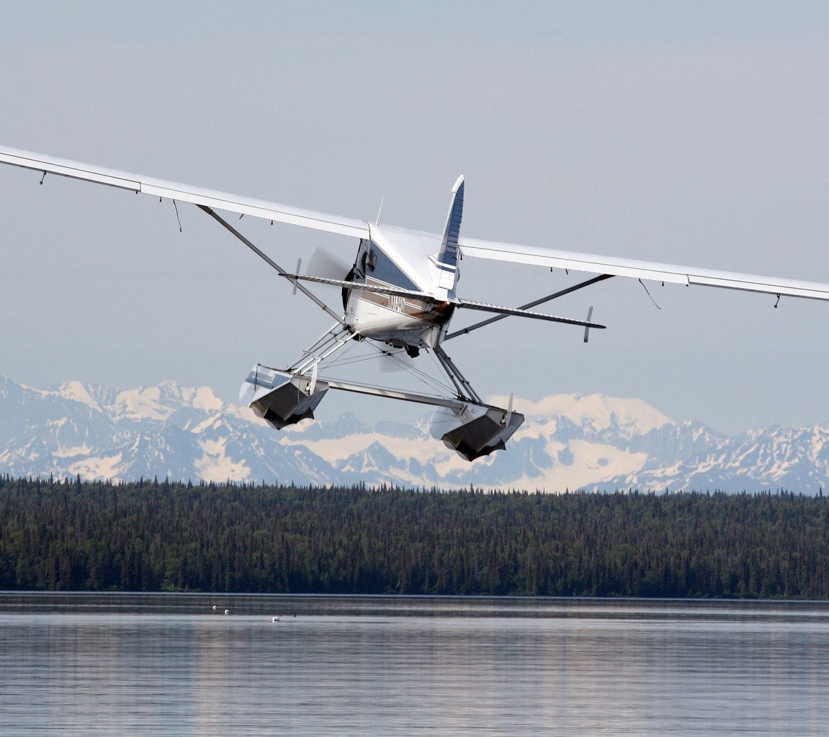 de Havilland Beaver on Wipline 6100 Floats